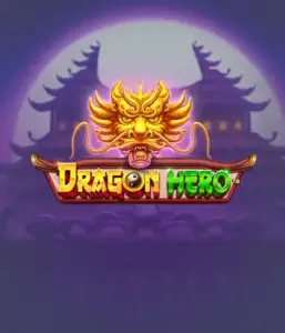 Enter a mythical quest with the Dragon Hero game by Pragmatic Play, highlighting stunning visuals of powerful dragons and heroic battles. Explore a land where fantasy meets thrill, with symbols like treasures, mystical creatures, and enchanted weapons for a mesmerizing slot experience.