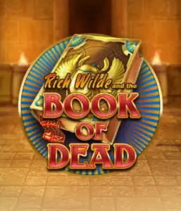 Embark on the thrilling world of Book of Dead Slot by Play'n GO, featuring vivid graphics of Rich Wilde's journey through ancient Egyptian tombs and artifacts. Discover lost riches with captivating mechanics like free spins, expanding icons, and a gamble option. Ideal for adventure seekers with a desire for thrilling discoveries.